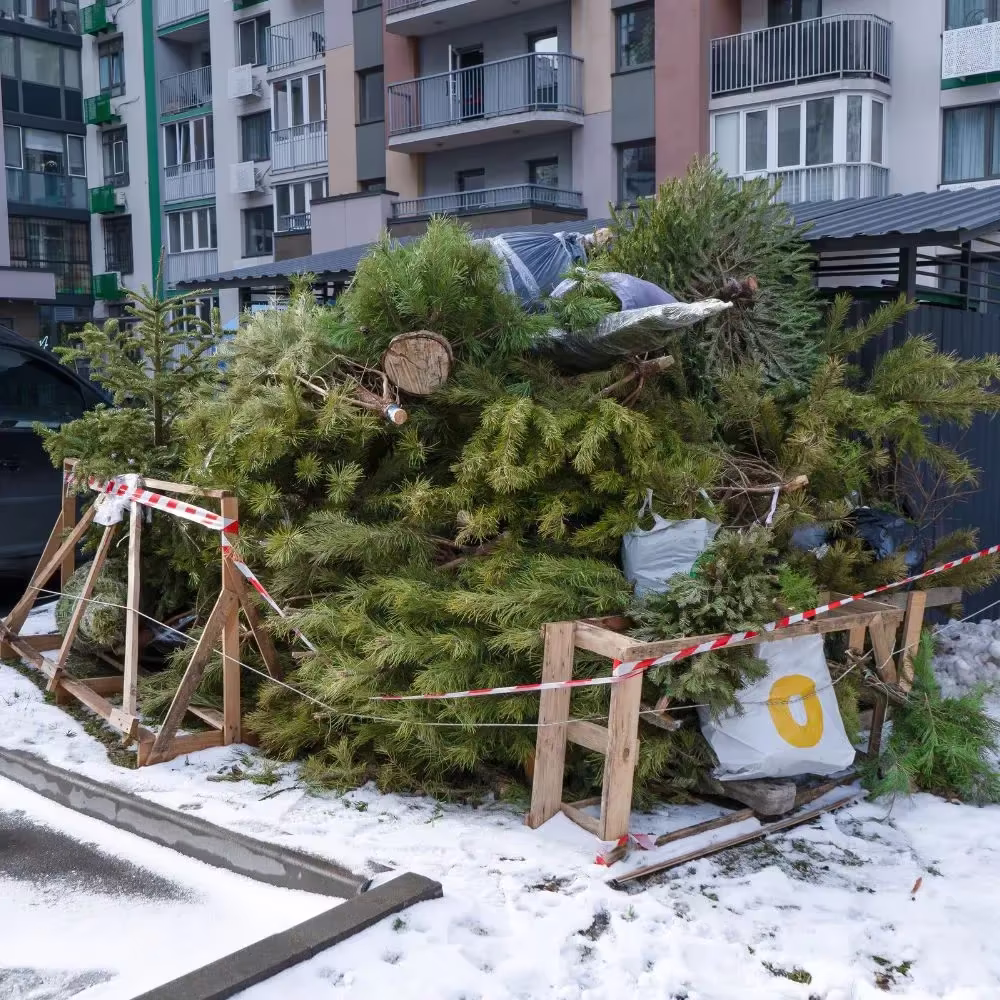 Junk Removal